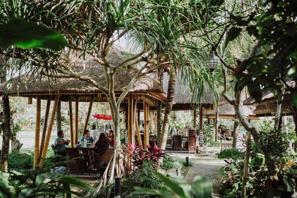 Potret Bebek Tepi Sawah di Bali (instagram.com/bebektepisawah)