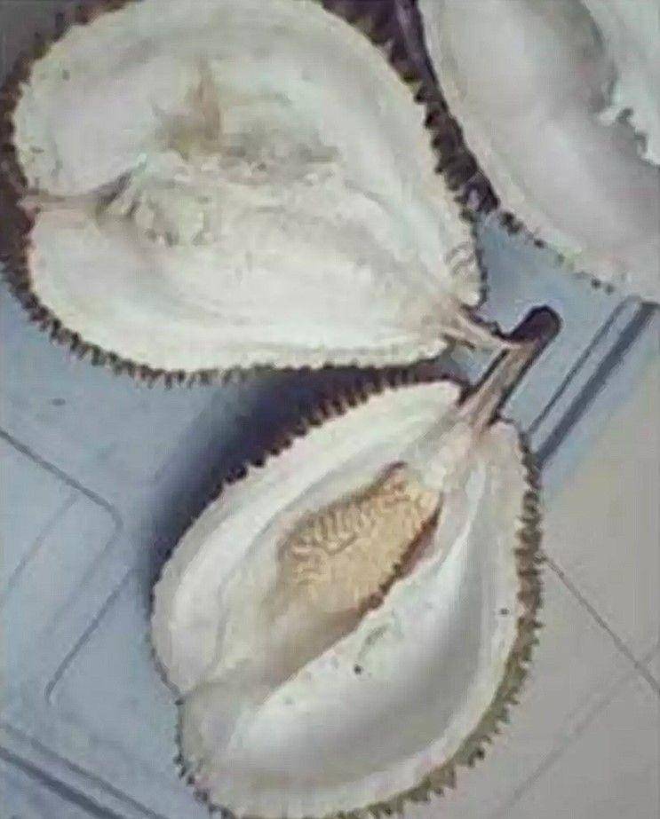 apes saat belah durian (instagram.com/wkwkland_real)