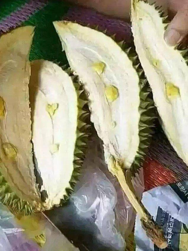 apes saat belah durian (instagram.com/dr_herp)