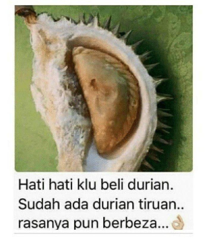 apes saat belah durian (instagram.com/receh.ai)