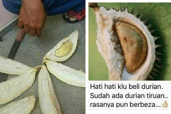 apes saat belah durian (instagram.com/mrci.id | instagram.com/receh.ai)