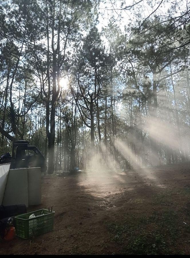 Suasana Hutan Pinus Manikliu di Kabupaten Buleleng. (Dok.Pribadi/Ida Bagus Wahyu Sudhiatmika)