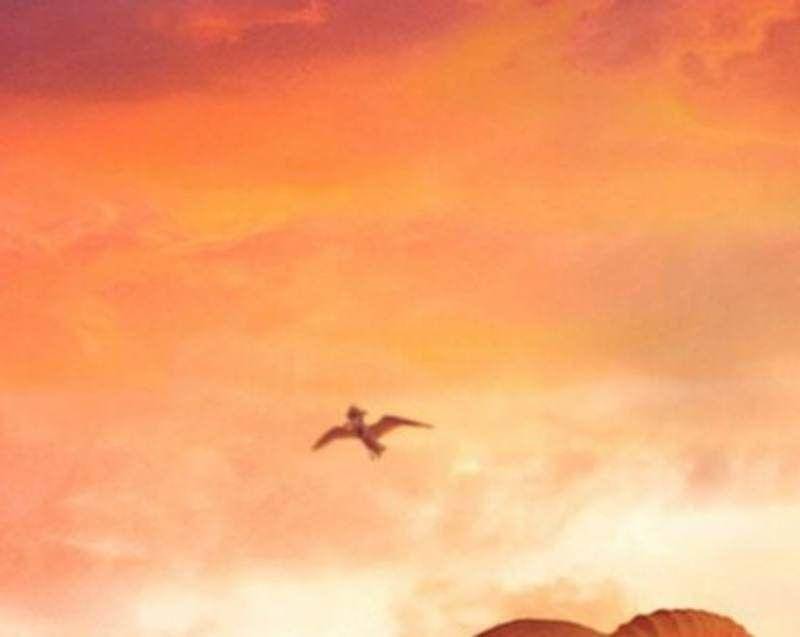 Burung camar di One Piece Netflix. (Dok. Netflix/One Piece)