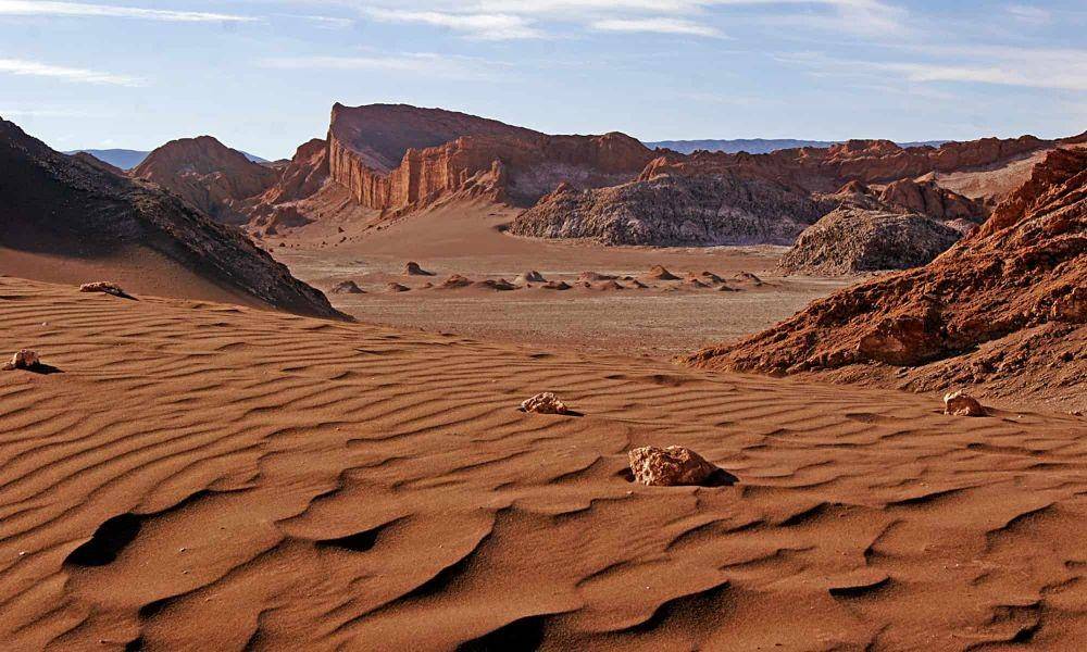 Gurun Atacama, Cile (a-z-animals.com)