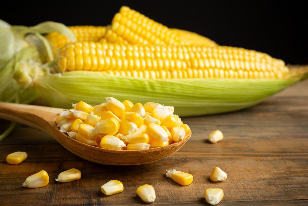 Bukan Termasuk Sayuran, Inilah 10 Fakta Tersembunyi Jagung Manis