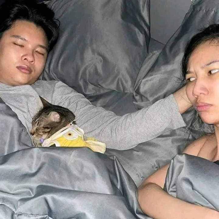 potret saat manusia hidup hanya bersama kucing (instagram.com/catlovers294)