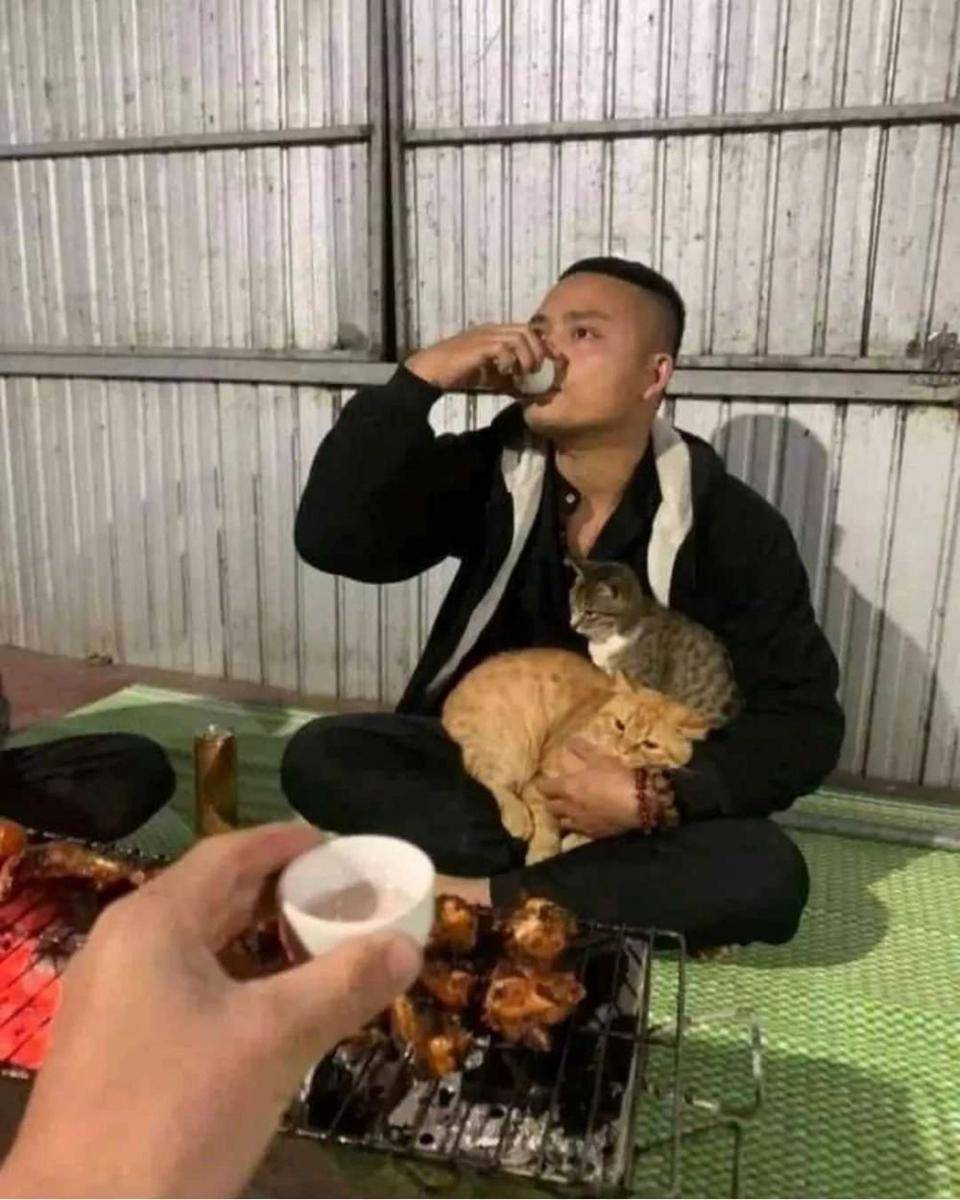 potret saat manusia hidup hanya bersama kucing (instagram.com/instakocheng)
