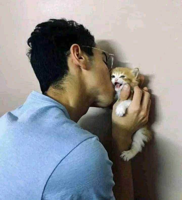 potret saat manusia hidup hanya bersama kucing (instagram.com/catlovers294)