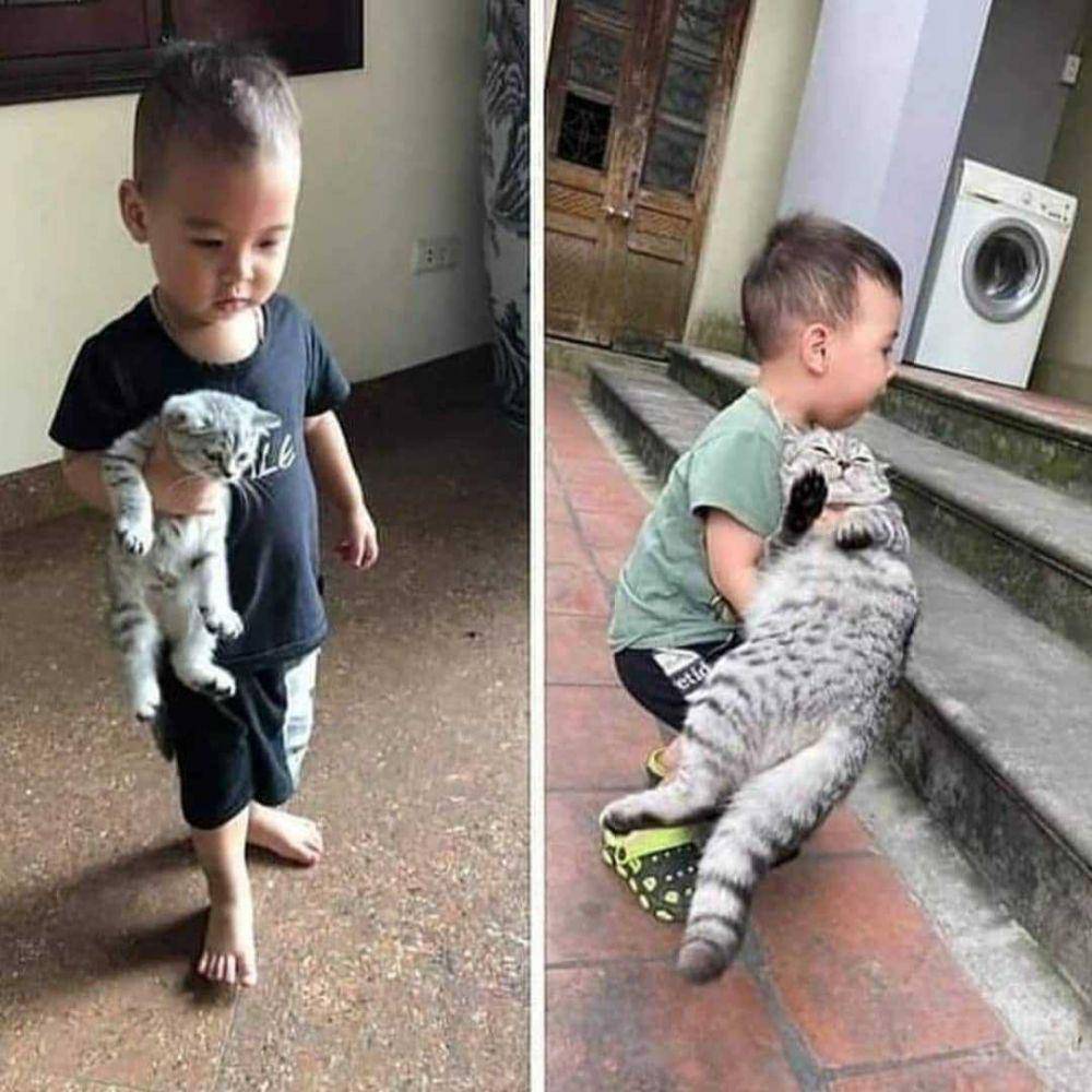 potret saat manusia hidup hanya bersama kucing (instagram.com/fanbasekucing)