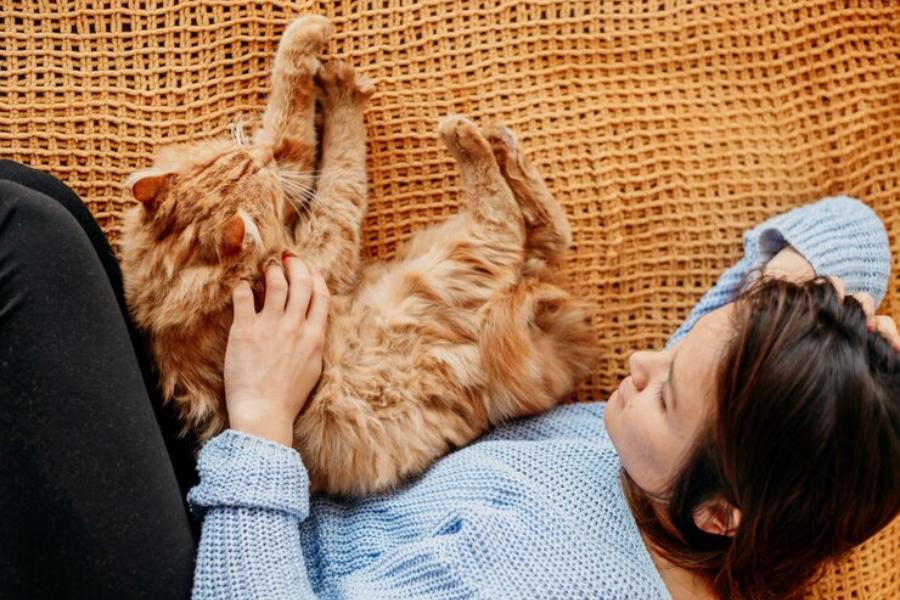 5 Alasan Kucing Suka Tidur Dekat Pemiliknya, Ternyata Bukan Manja