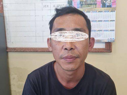 (Pelaku Riko Aprianto (37) warga Desa Pulau Beringin Kecamatan Kikim Selatan Kabupaten Lahat saat diamankan polisi) IDN Times/Istimewa