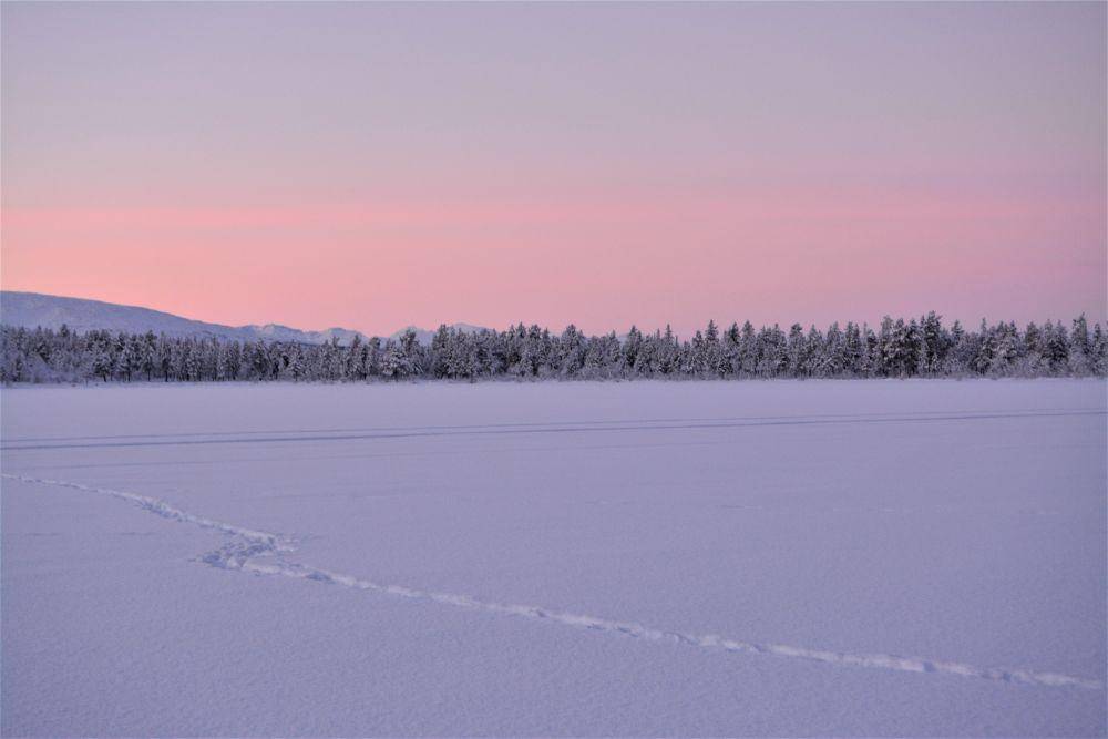 fenomena polar night i Kiruna, Swedia (twitter.com/Sweden)