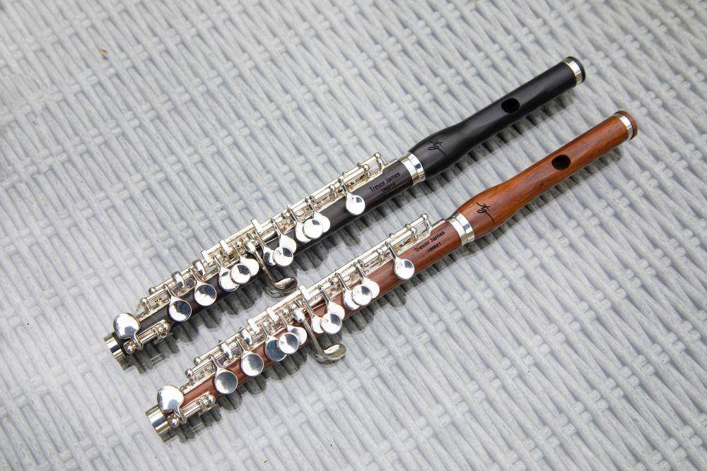 Piccolo adalah salah satu contoh alat musik tiup (pexels.com/Jean-Paul Wright)