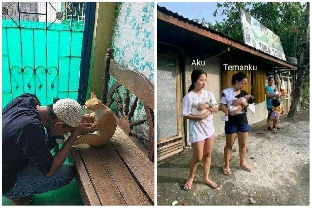 potret saat manusia hidup hanya bersama kucing (instagram.com/instakocheng | instagram.com/kucingindogram)