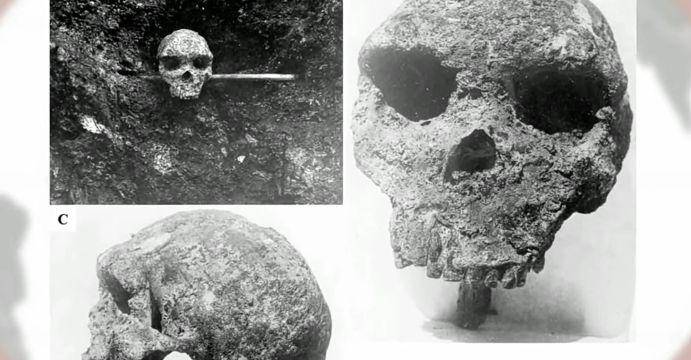ilustrasi tengkorak Homo Rhodesiensis (youtube.com/HALABELLA)