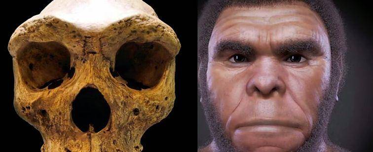 ilustrasi Homo Rhodesiensis (youtube.com/HALABELLA)