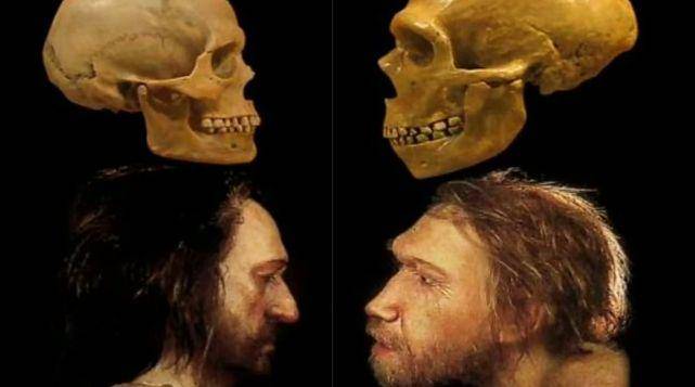 ilustrasi Homo Rhodesiensis (youtube.com/HALABELLA)