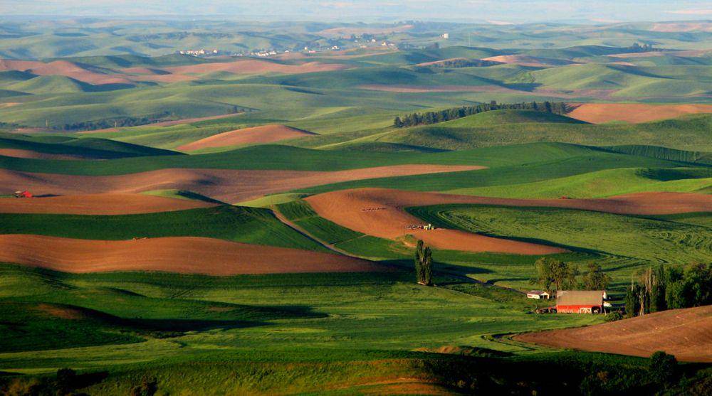 ilustrasi Palouse (wikivoyage.org)