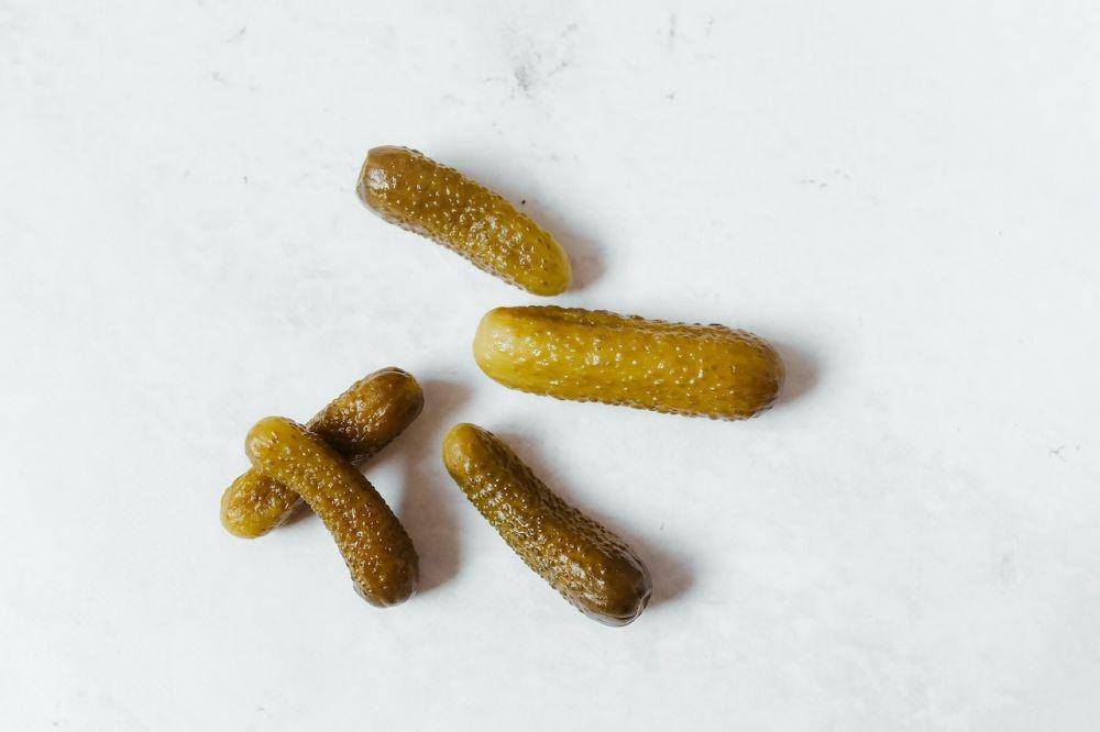 Ilustrasi fermentasi (pexels.com/Polina Tankilevitch)