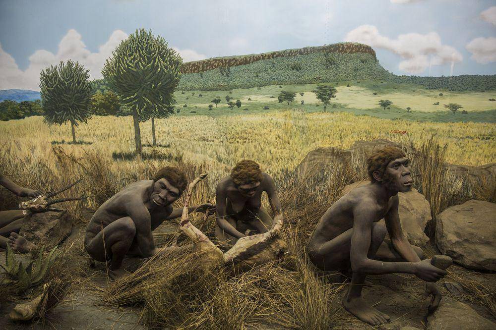 ilustrasi kehidupan zaman purba di awal-awal keberadaan manusia (commons.wikimedia.org/ninara)