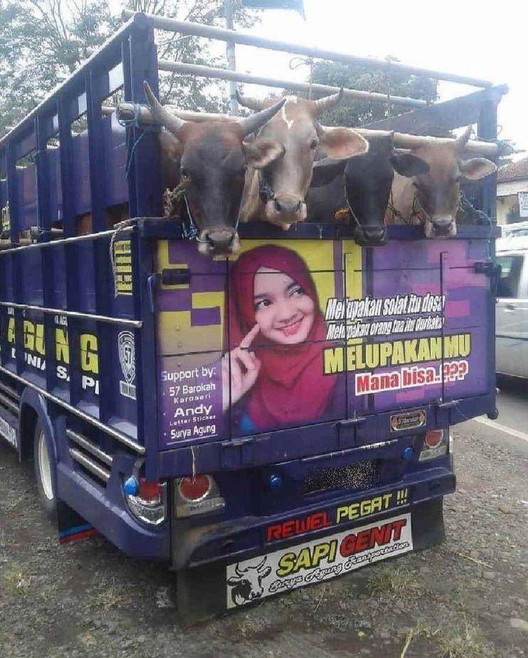 kata-kata galau di belakang truk (instagram.com/mood.jakarta)