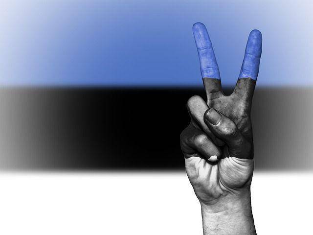 ilustrasi Estonia (pixabay.com/David Peterson)