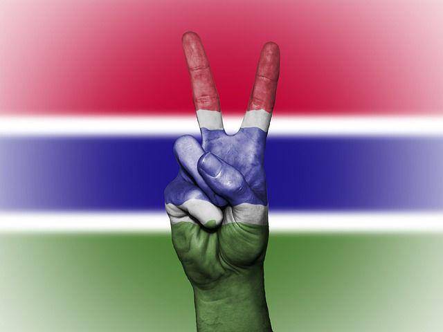 ilustrasi bendera Gambia (pixabay.com/David Peterson)