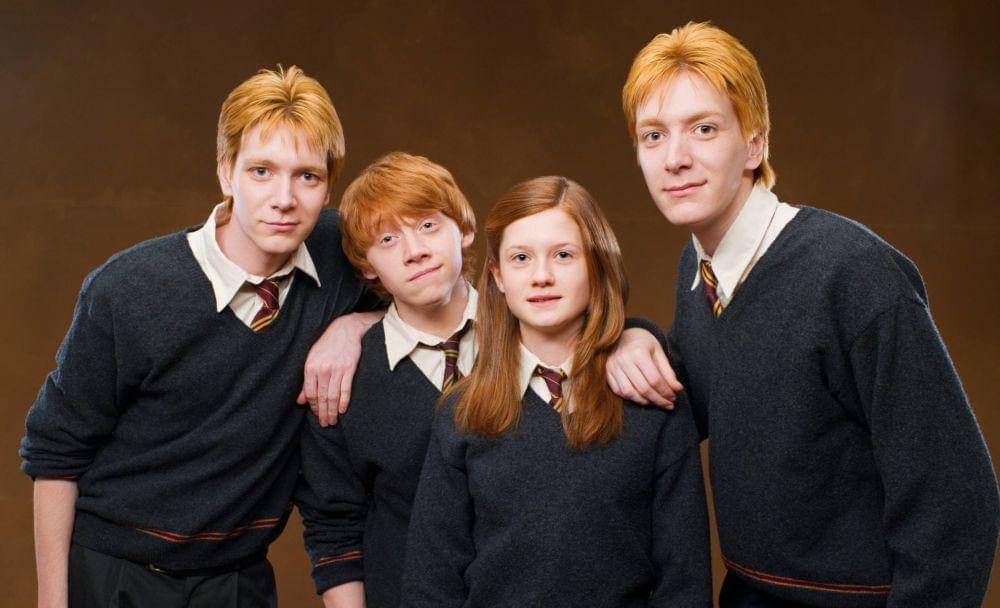 dok. Warner Bros/Harry Potter