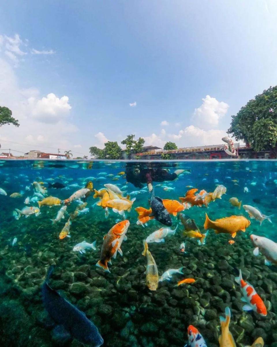 Wisata Umbul Ponggok, Klaten (instagram.com/pangeraann_)