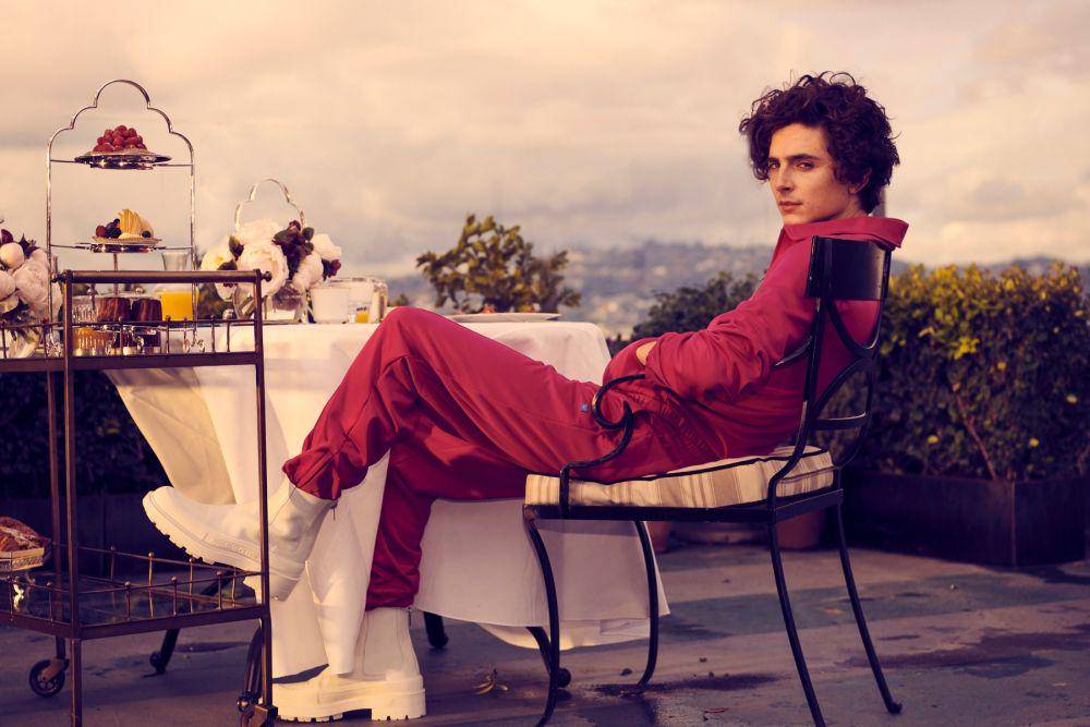 11 Fakta Mengejutkan Timothee Chalamet Legendaris Film Wonka 2023