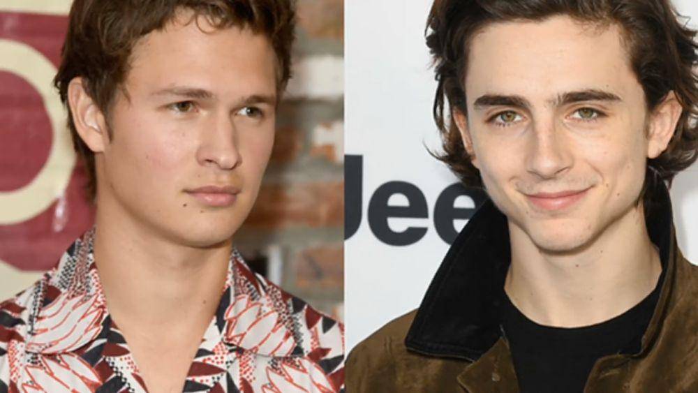 Elgort dan Chalamet (dok. The Candy/Ansel E and Timothée)