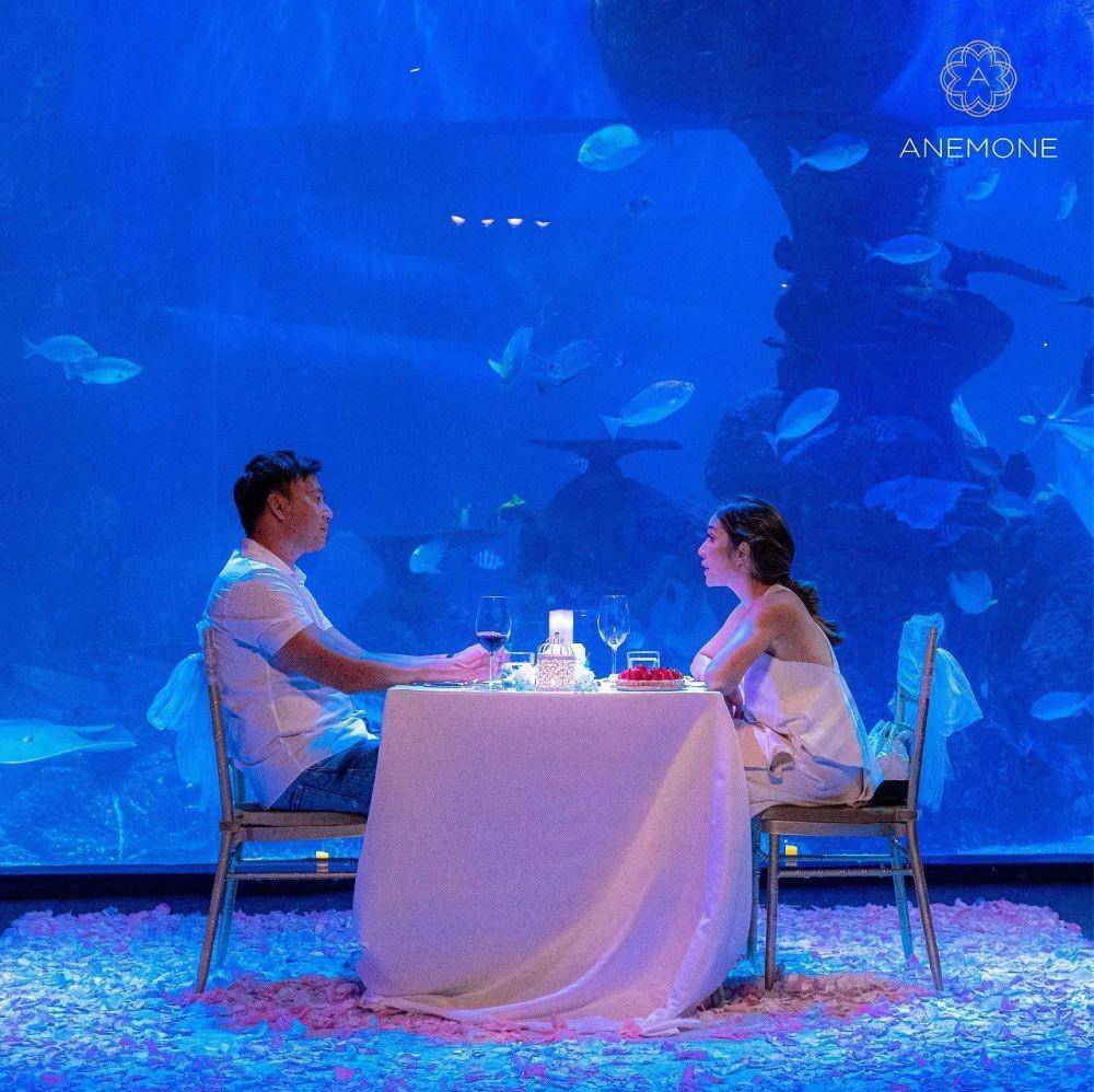 Anemone Dining di Jakarta Aquarium and Safari (instagram.com/anemone.dining)