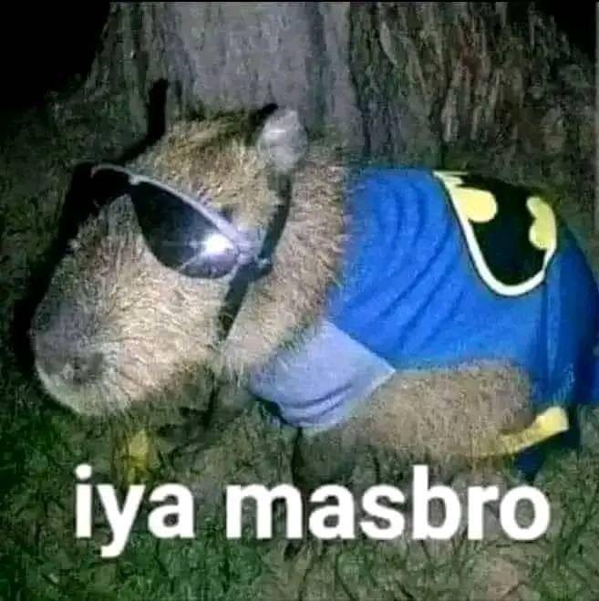 meme capybara (dok. Twitter/0v3rwhelmed)