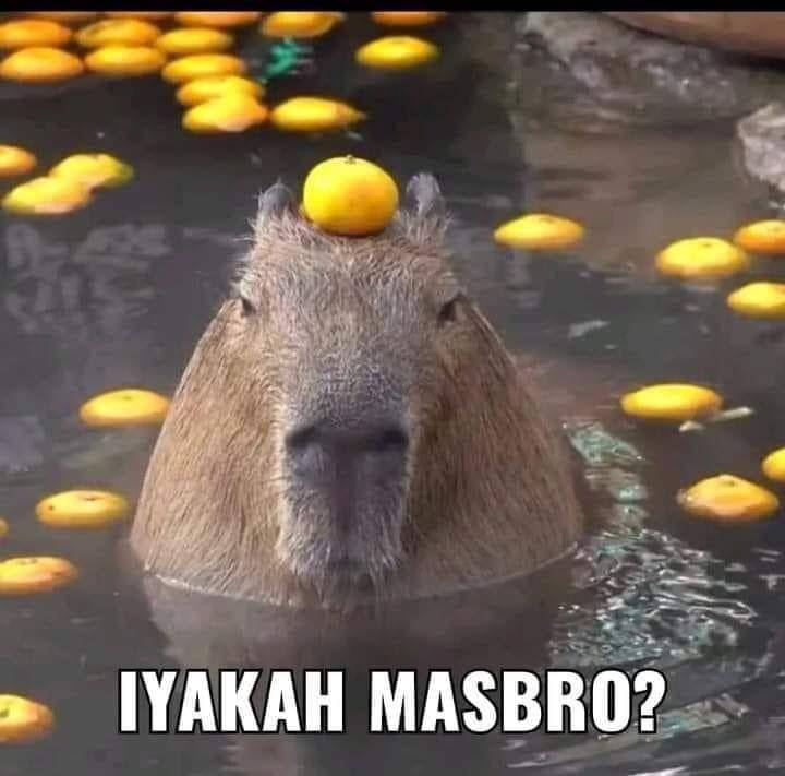 Iyakah masbro? (dok. Twitter/0v3rwhelmed)