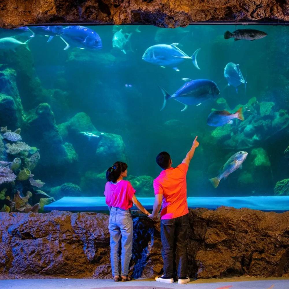 Potret pengunjung sedang melakukan aquarium date di Seaworld, Ancol (instagram.com/seaworld.ancol)