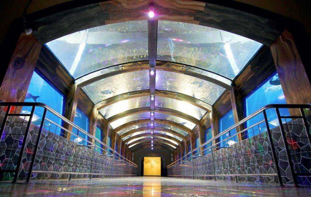 Potret Planet Aquarium Toyoshuka di Purbasari Pancuran Mas, Purbalingga (purbalinggakab.go.id)