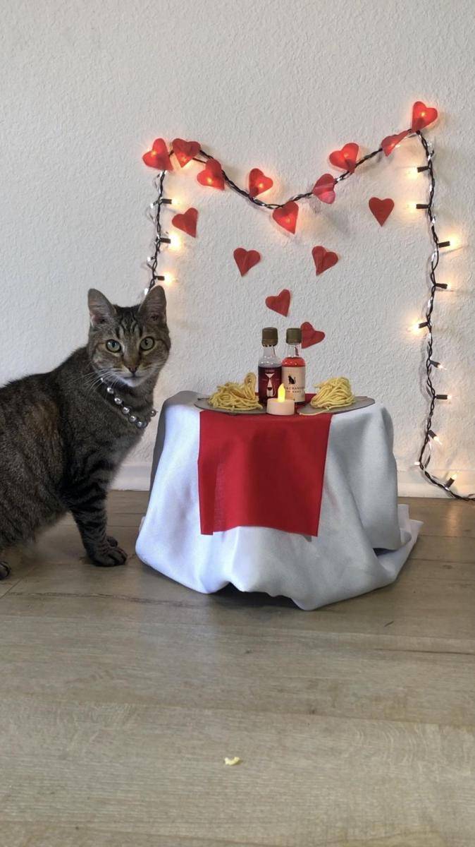 potret dekorasi Valentine bagus (reddit.com/user/the_pizzacat)