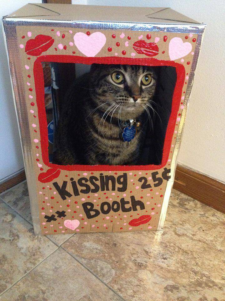 potret dekorasi Valentine bagus (reddit.com/user/jetBlueberry)