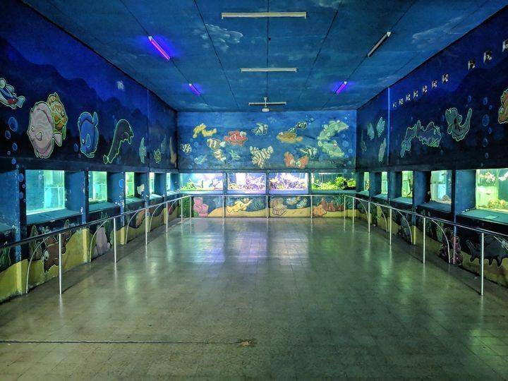 Potret Zona Aquarium Gembira Loka Zoo (facebook.com/GLZooJogja)