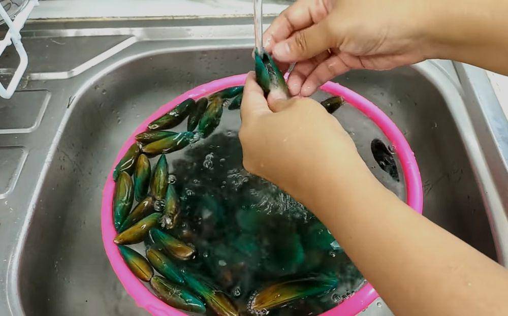 ilustrasi membersihkan kerang hijau (youtube.com/CR COOK)