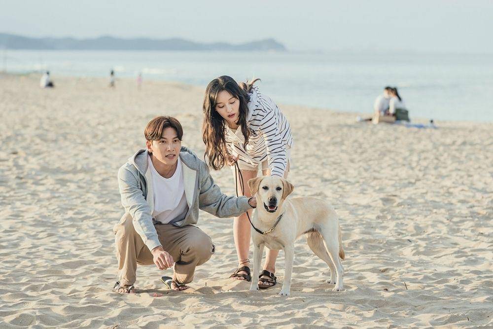 Ji Chang Wook dan Kim Ji Won di Lovestruck in the City (dok. Netflix/Lovestruck in the City)