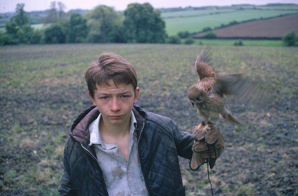 film Kes (dok. Kestrel Film/Kes)