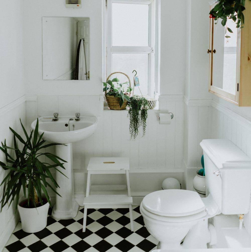 Ilustrasi desain kamar mandi simple dengan dekorasi tanaman (unsplash.com/Phil Hearing)