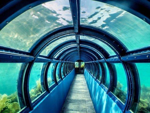 Potret Tunnel Aquarium di Pulau Putri, Kepulauan Seribu (visitpulauseribu.com)