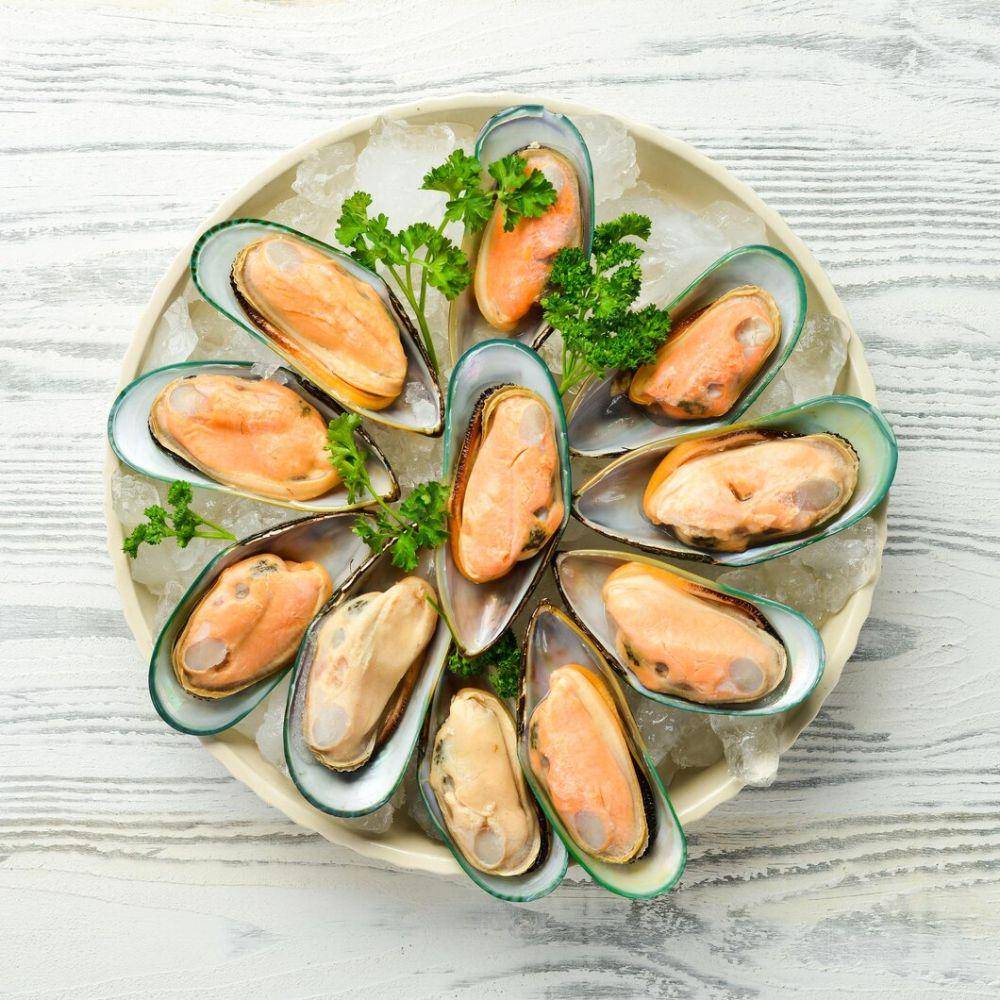ilustrasi kerang hijau (freepik.com/yarunivstidio)