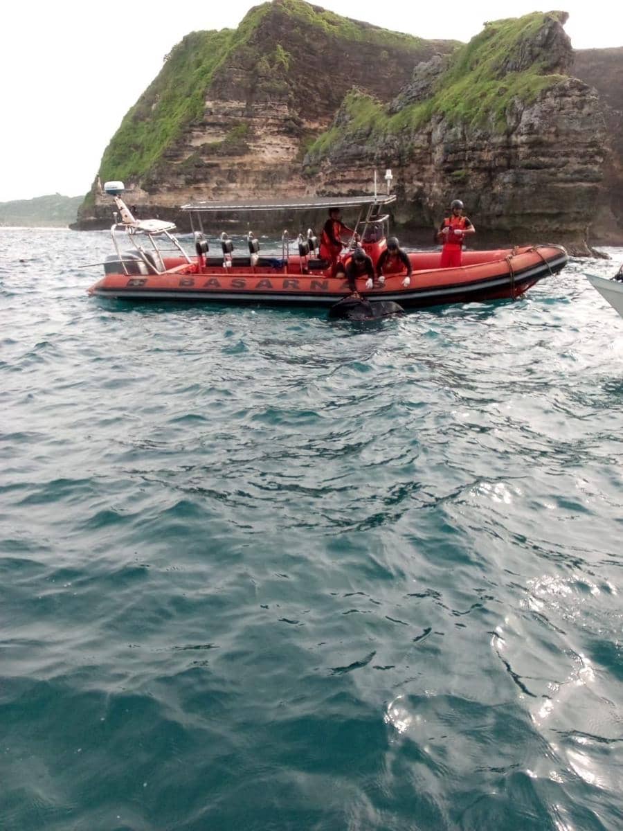 Evakuasi jenazah korban menggunakan RIB milik Tim SAR Mataram. (dok. SAR Mataram)