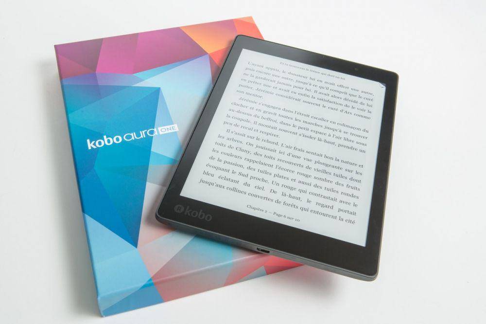 ilustrasi kobo aura (pexels.com/Perfecto Capucine)