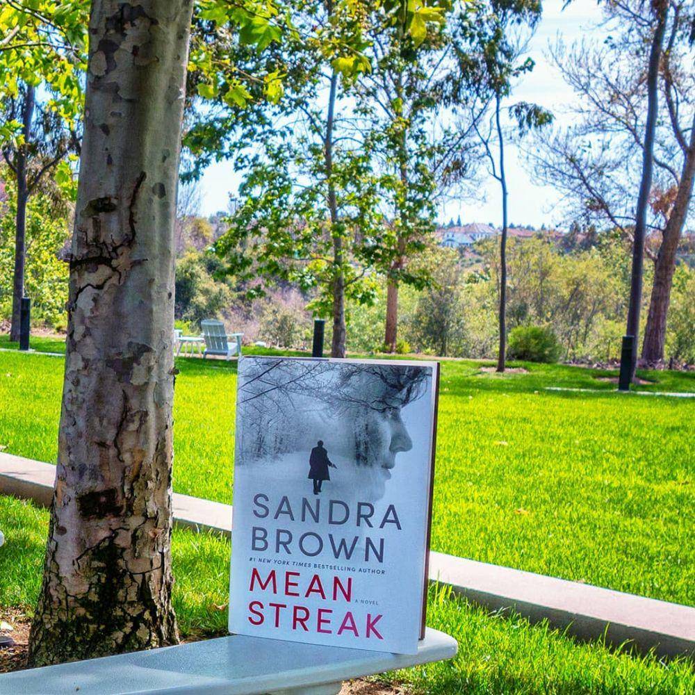 novel Mean Streak (instagram.com/booktimistic)