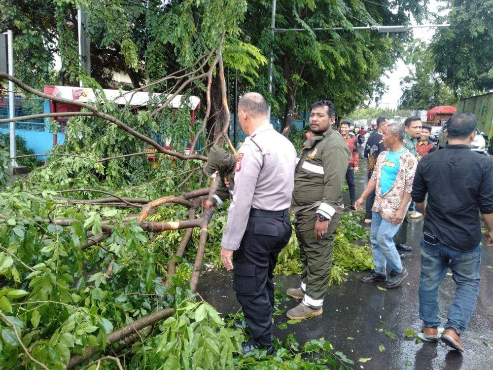 Angin Kencang di Bekasi Akibatkan Tujuh Pohon Tumbang. (Dokumen BPBD Kota Bekasi)