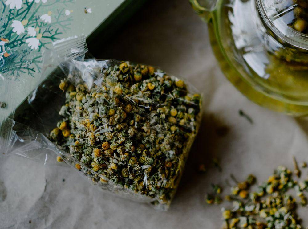 ilustrasi chamomile (unsplash.com/Irene Ivantsova)